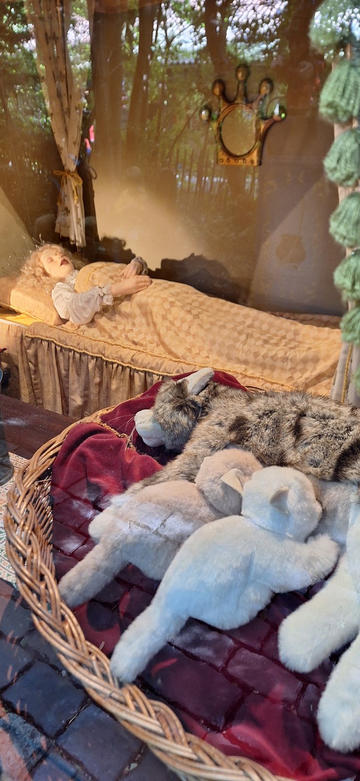 Een moederpoes met kittens, slapend bij Doornroosje.