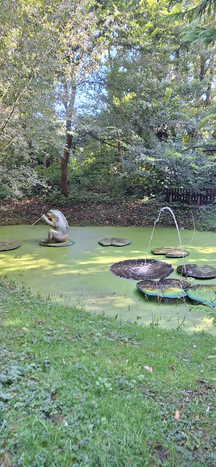 Dit soort wat willekeurige taferelen zorgen voor extra sfeer, geen uitleg of extra effect, gewoon sprookjesachtig fraai.