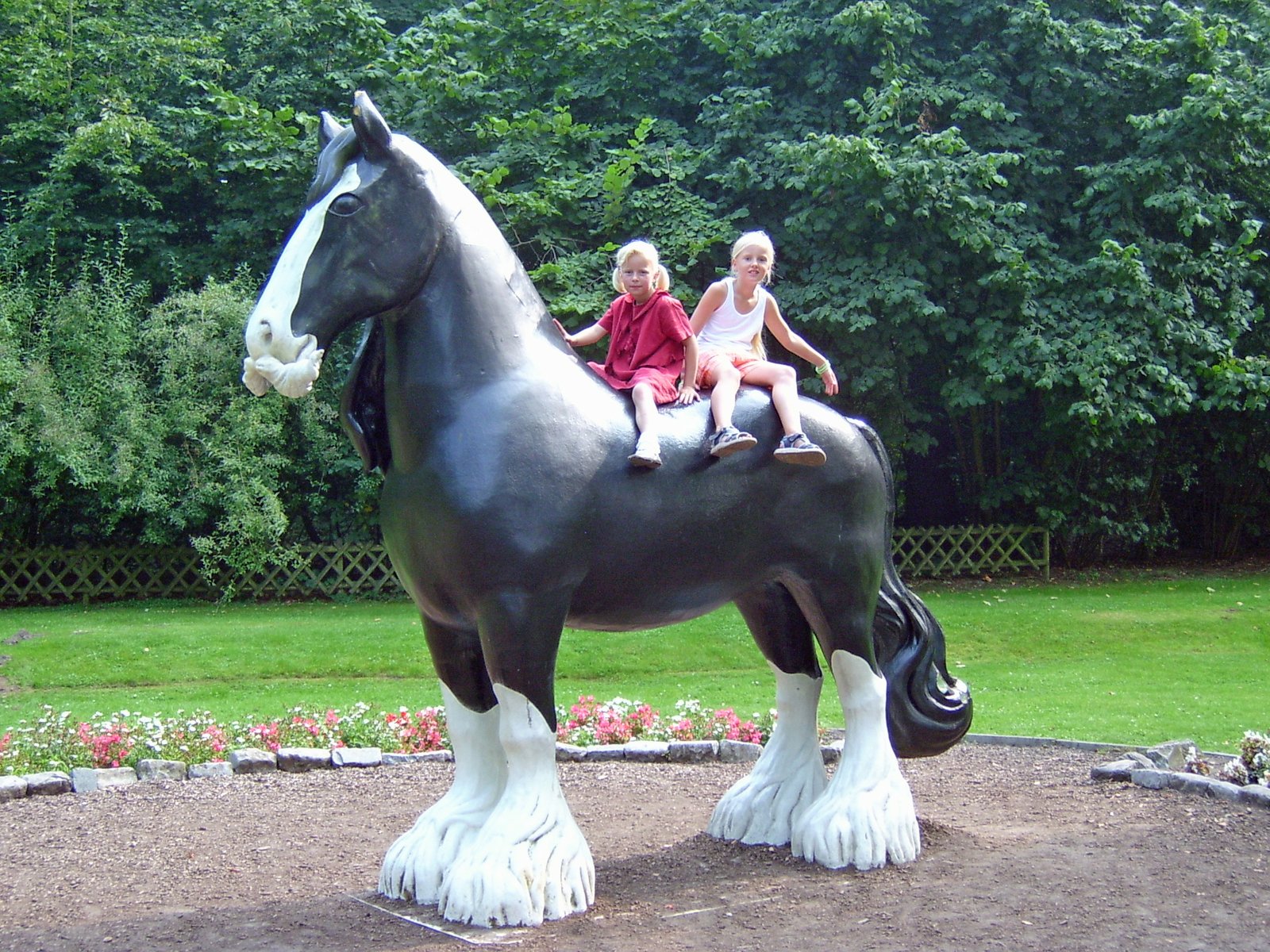 Paard
