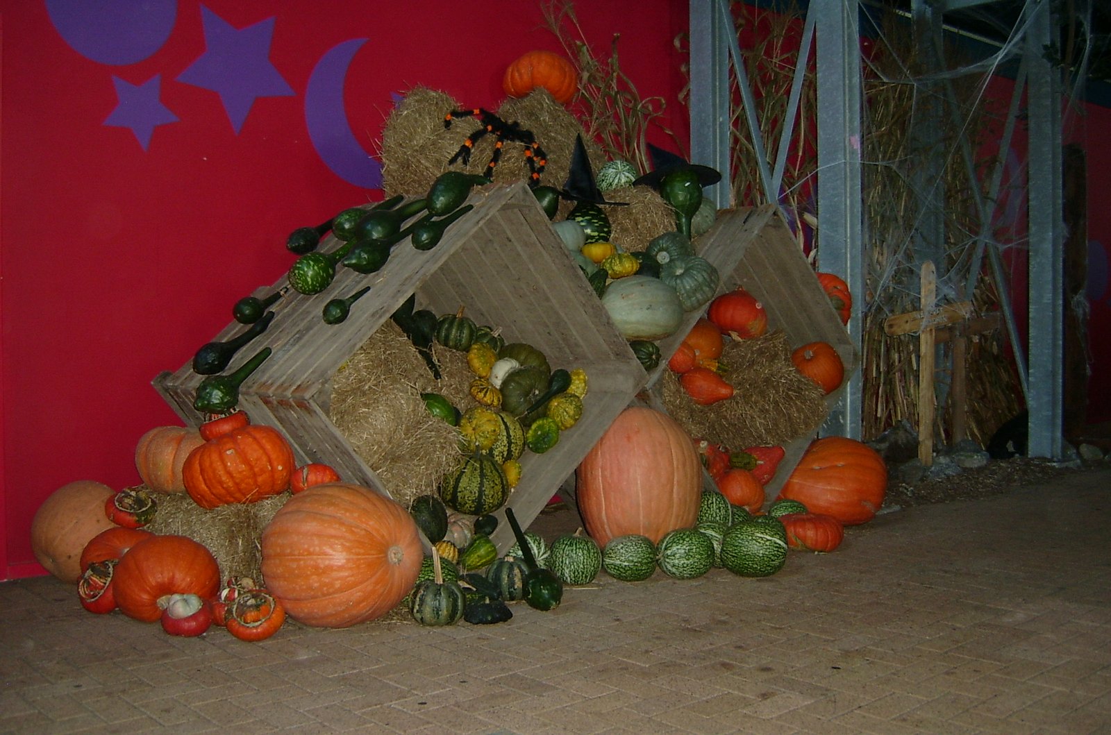 Halloween decor