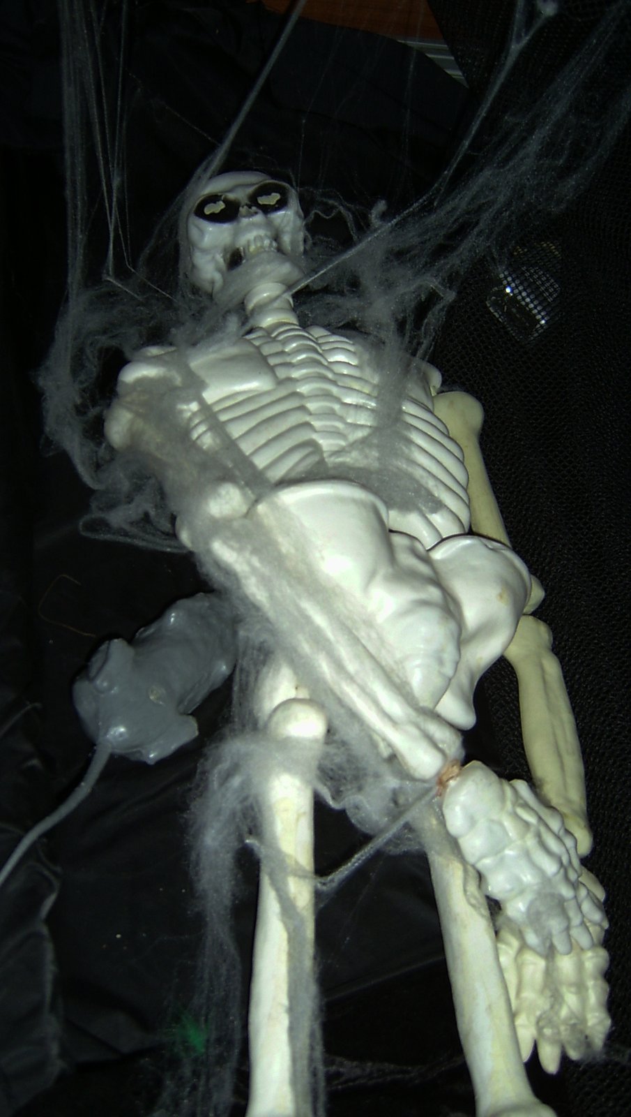Halloween decor