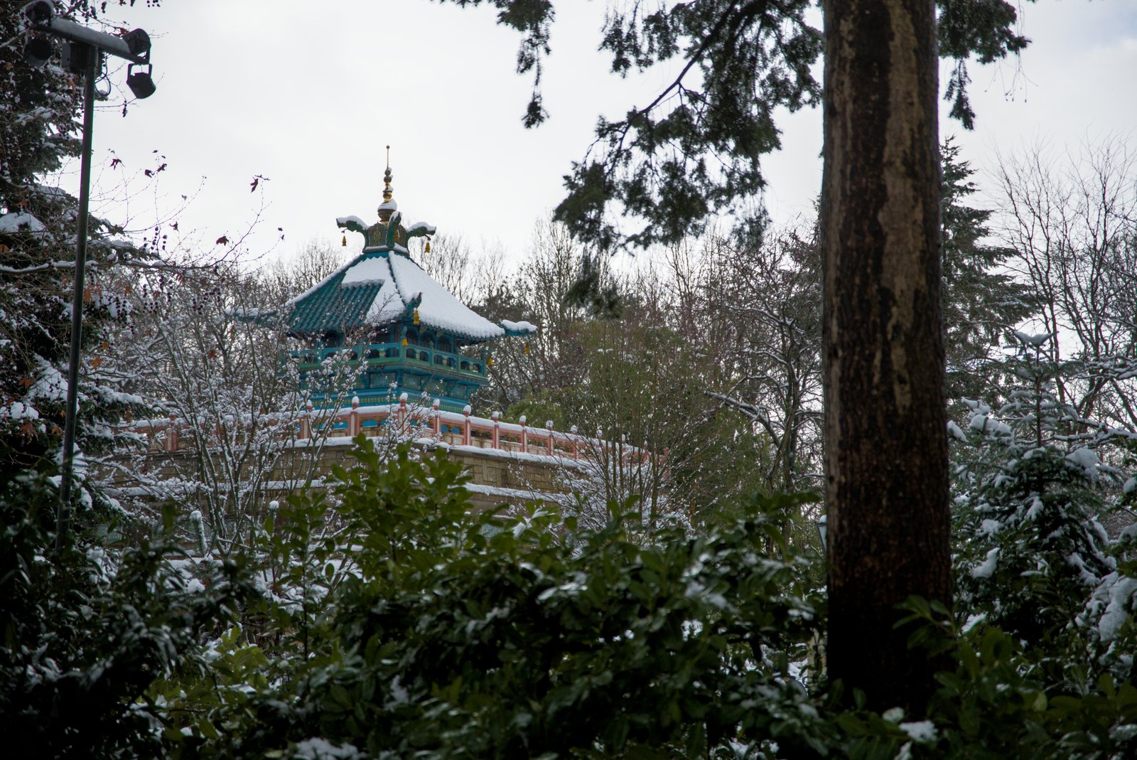 De Chinese Nachtegaal met sneeuw op het dak