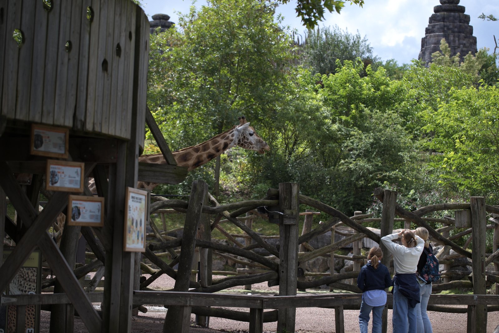 Het giraffenverblijf, hier kon je vroeger naar boven om ze te voeren maar vandaag was dat helaas afgesloten.