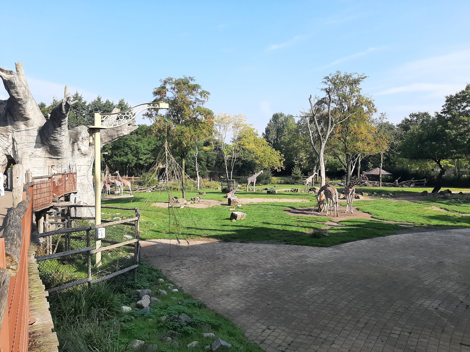 Foto uit Kort bezoek aan Blijdorp