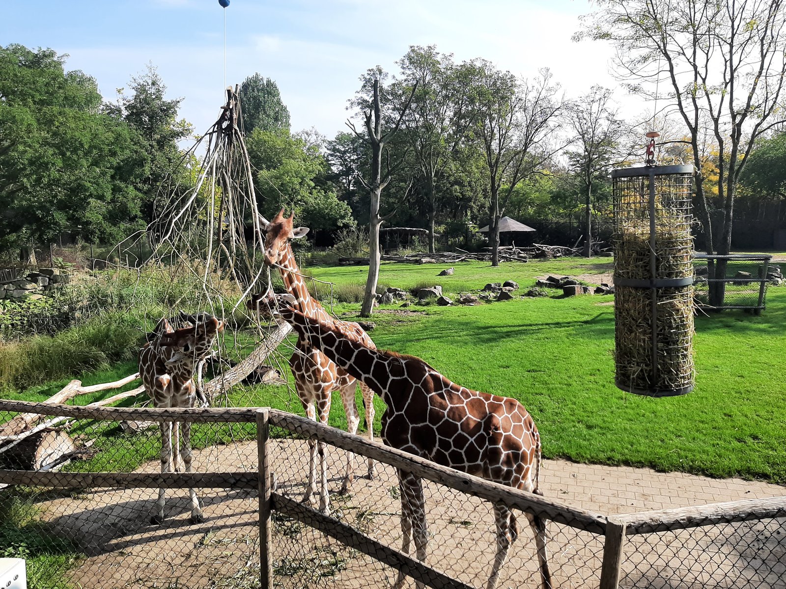 Foto uit Kort bezoek aan Blijdorp