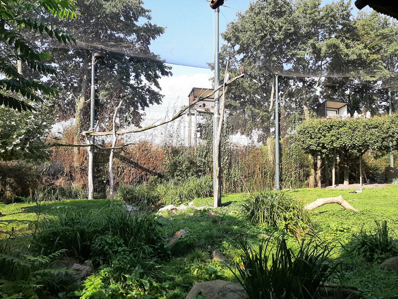 Foto uit Kort bezoek aan Blijdorp