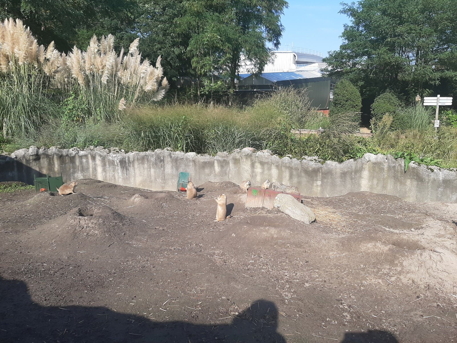 Foto uit Kort bezoek aan Blijdorp