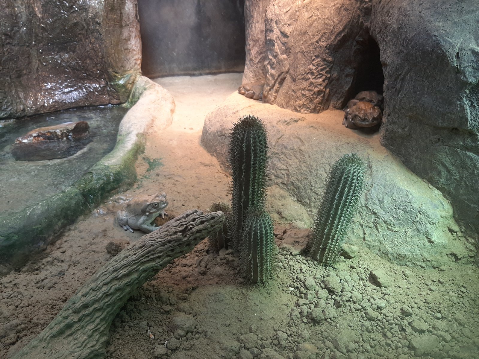 Foto uit Kort bezoek aan Blijdorp