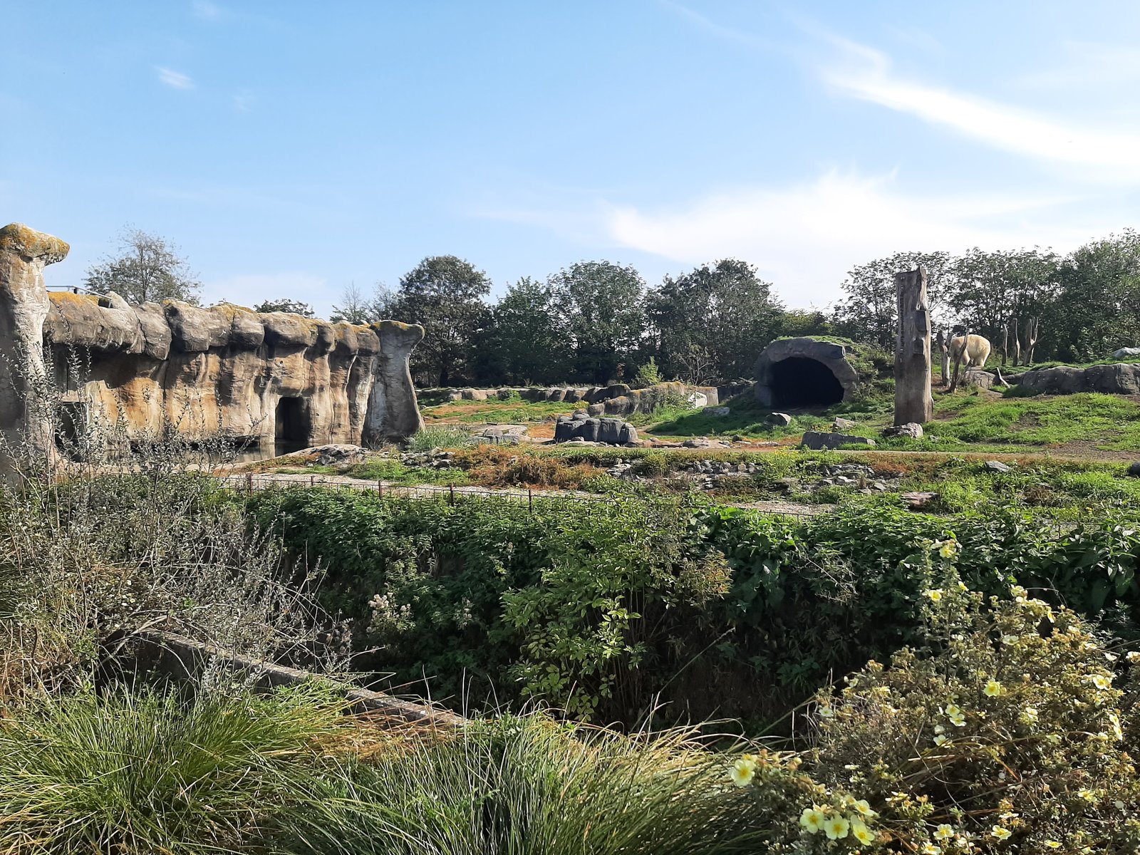 Foto uit Kort bezoek aan Blijdorp