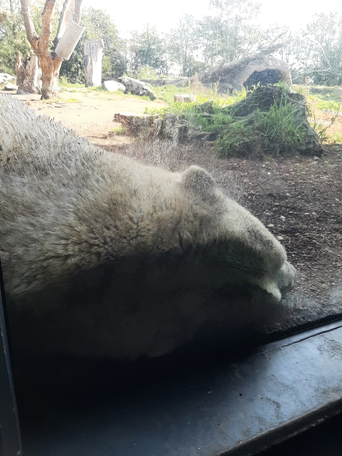 Foto uit Kort bezoek aan Blijdorp