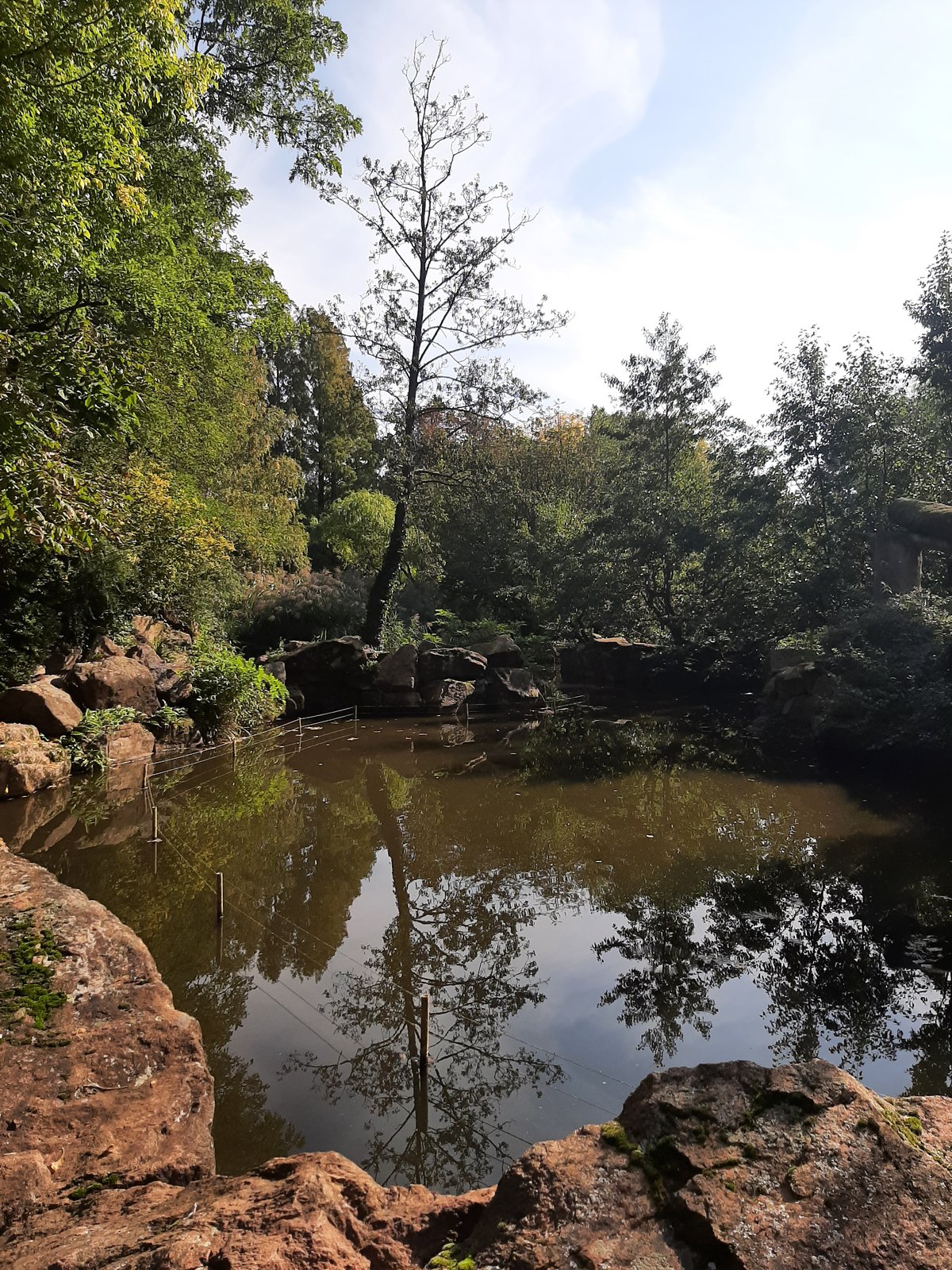 Foto uit Kort bezoek aan Blijdorp