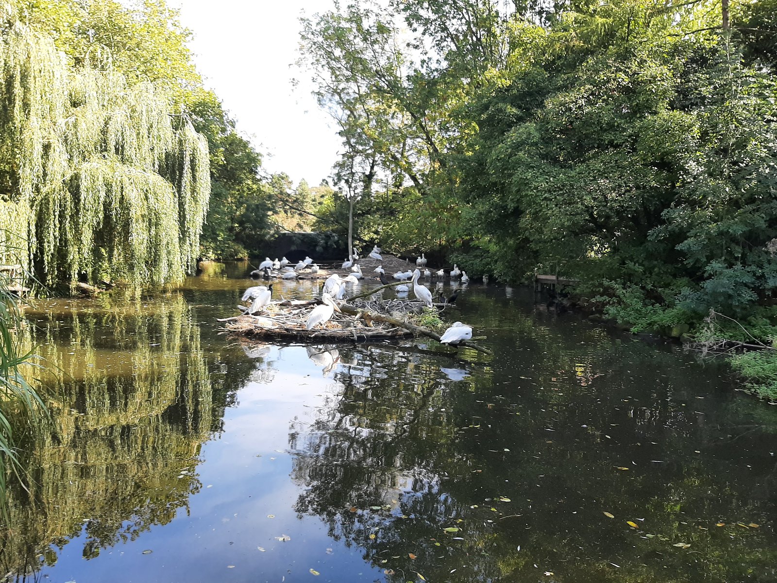 Foto uit Kort bezoek aan Blijdorp