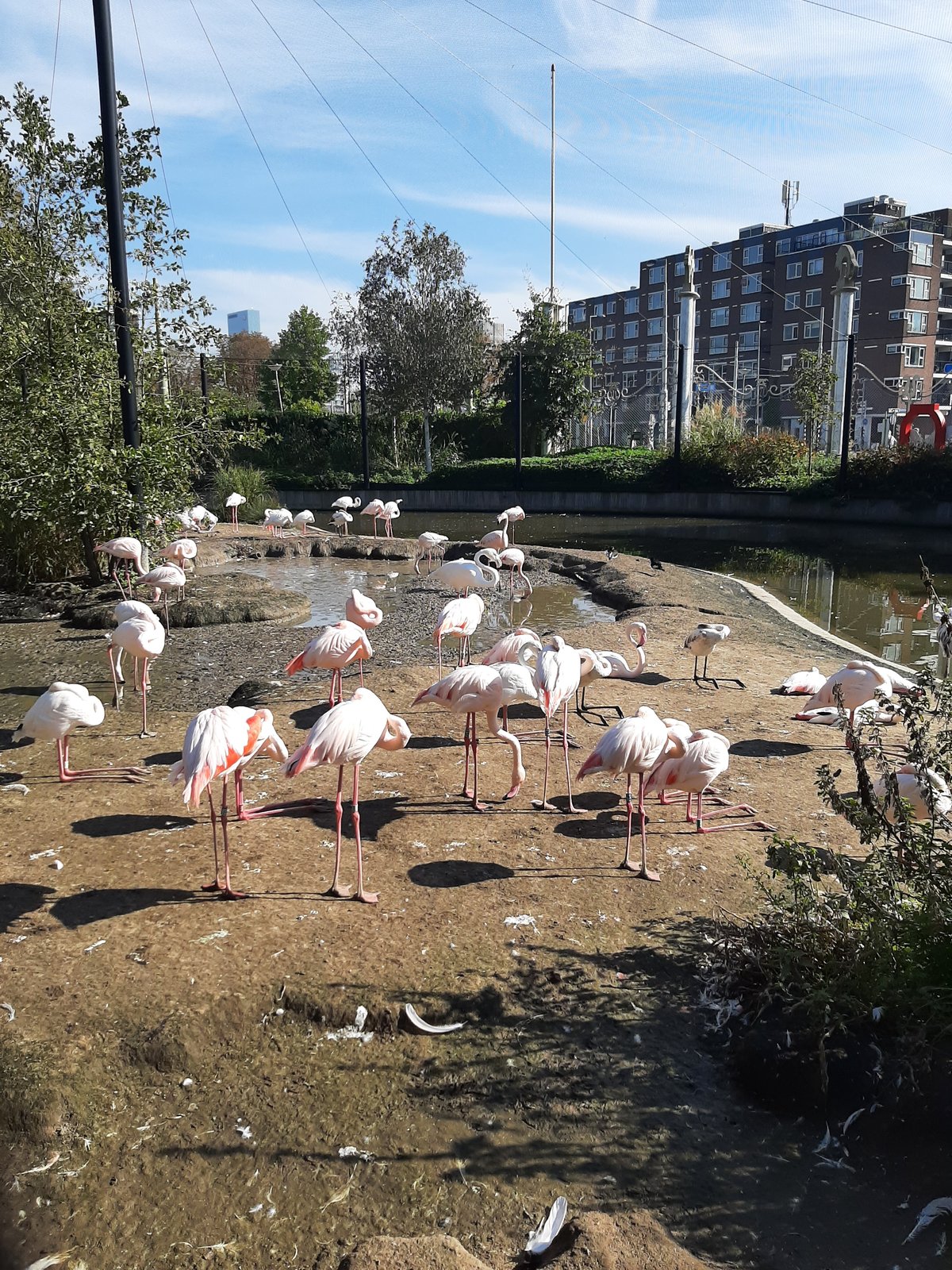 Foto uit Kort bezoek aan Blijdorp