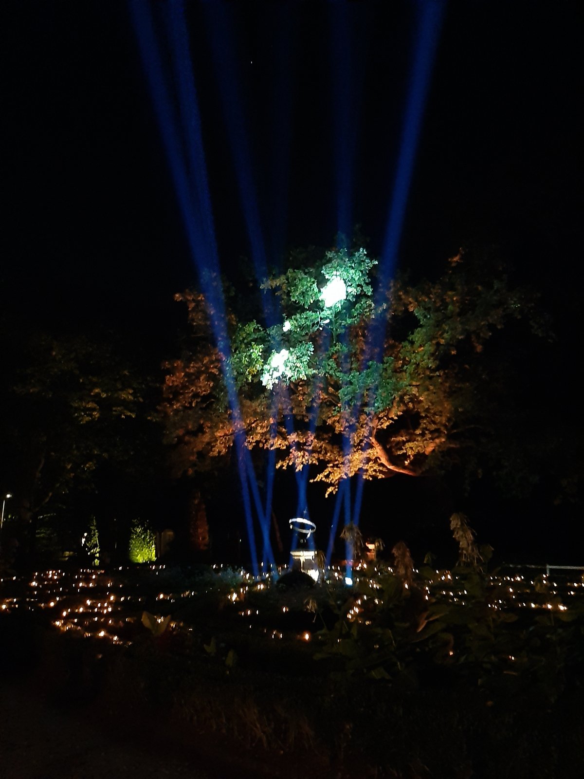 Foto uit Avondbezoek tijdens 'Uitgelicht'