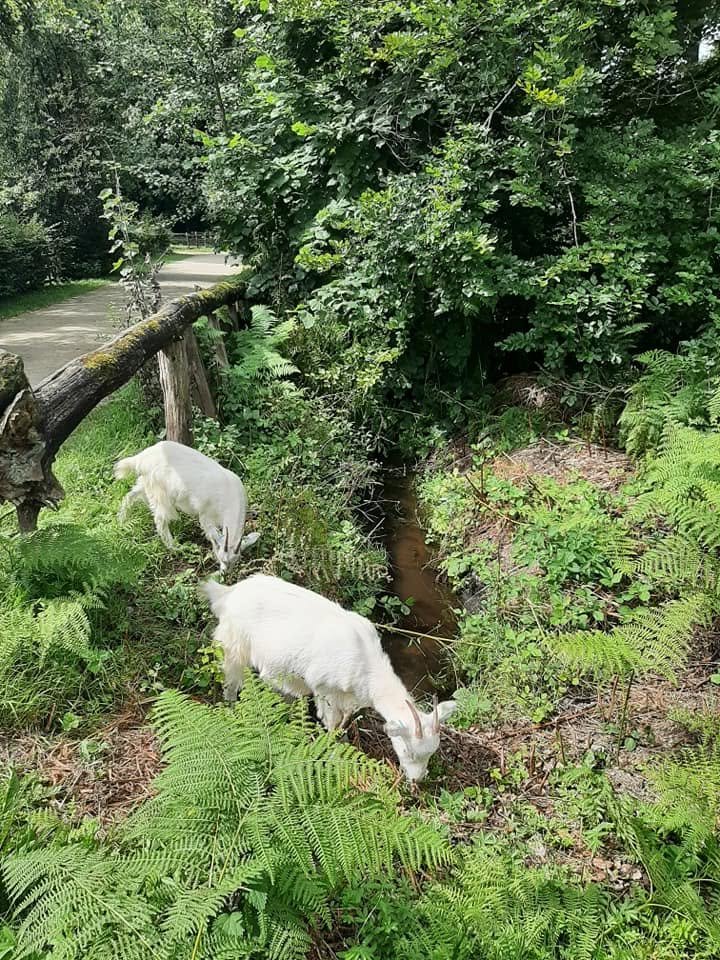 Foto uit Eerste keer Bokrijk