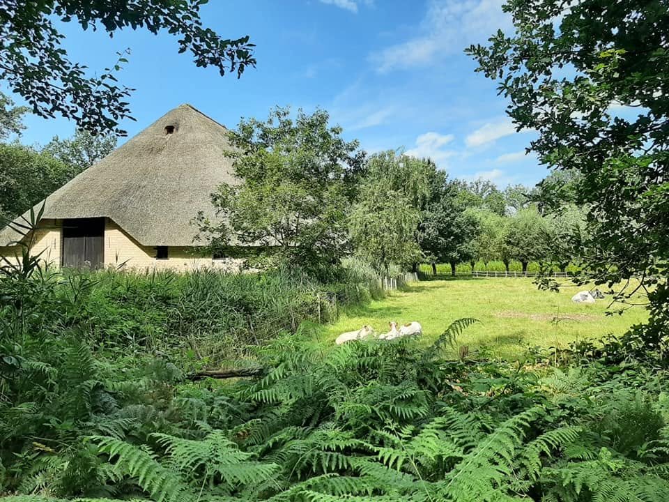 Foto uit Eerste keer Bokrijk