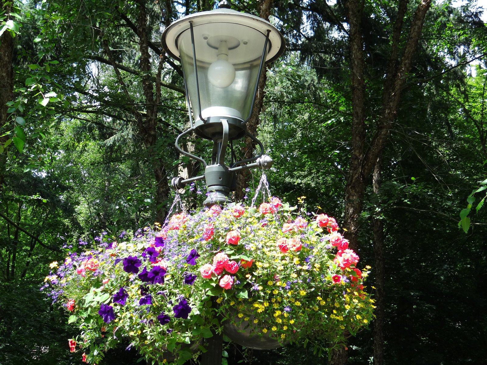 Bloemen aan de lamp