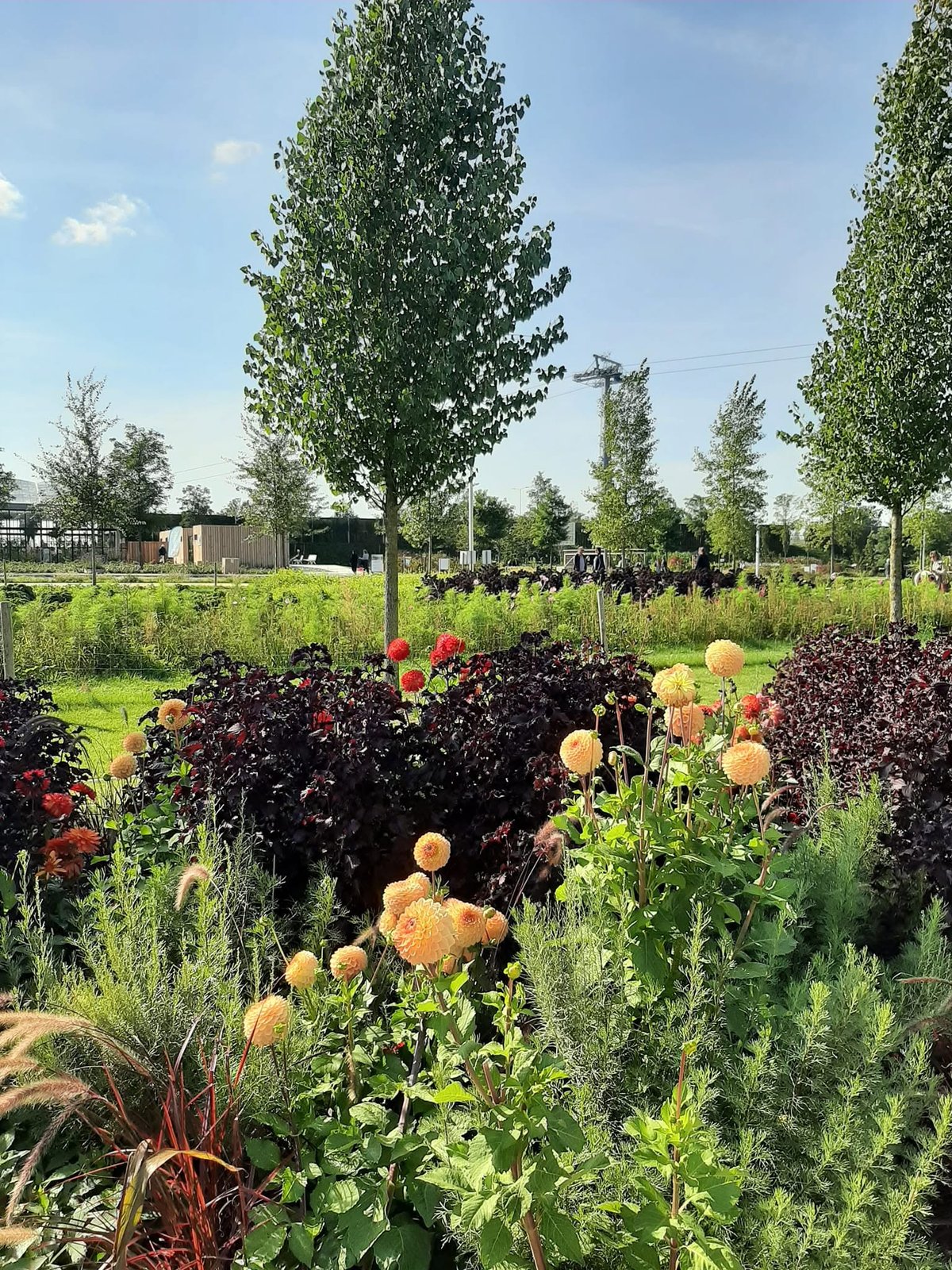 Foto uit Floriade Almere 2022