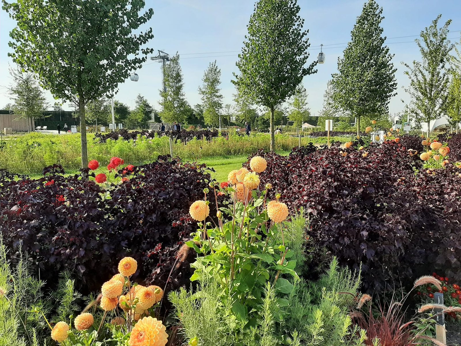 Foto uit Floriade Almere 2022