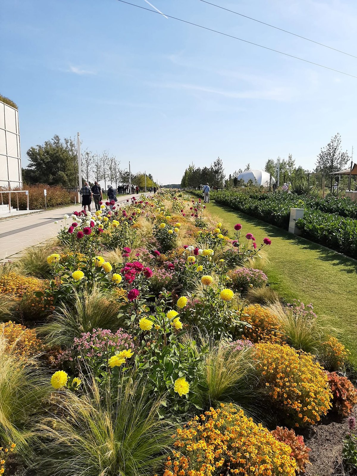 Verspreidt over het gehele terrein zijn veel planten en bloemen te vinden.