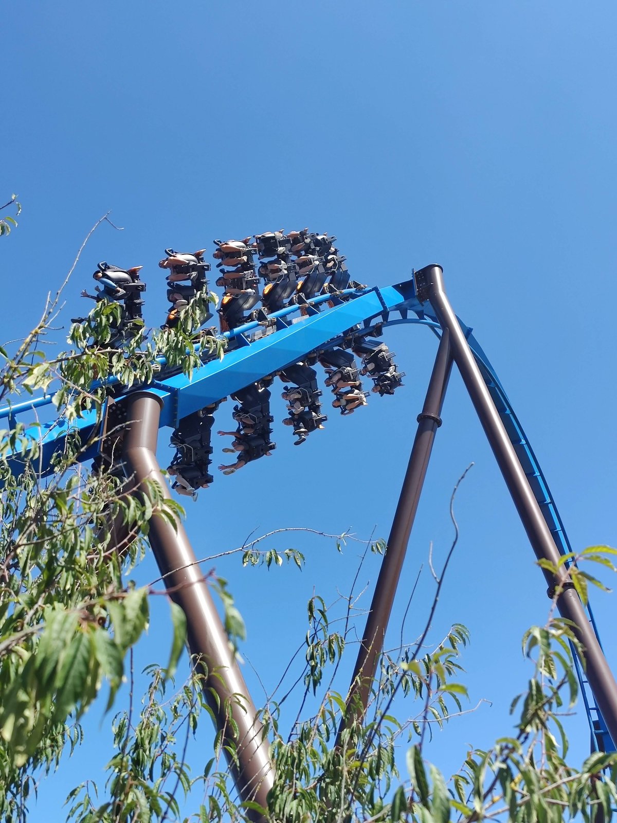 Daar gaat de typische wing-coaster trein!