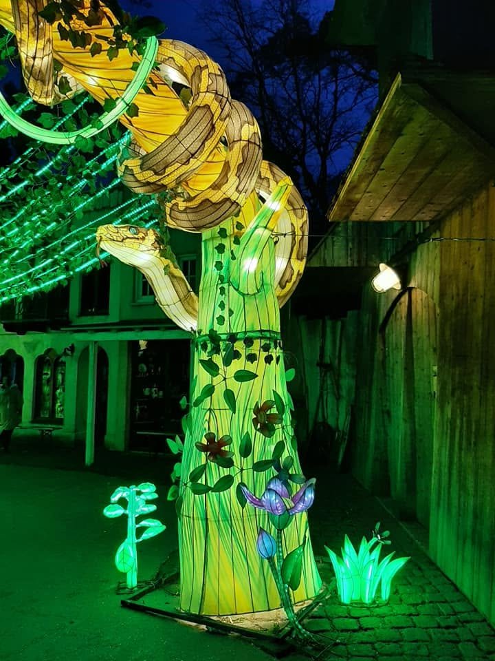 Foto uit Lichtfestival 2022
