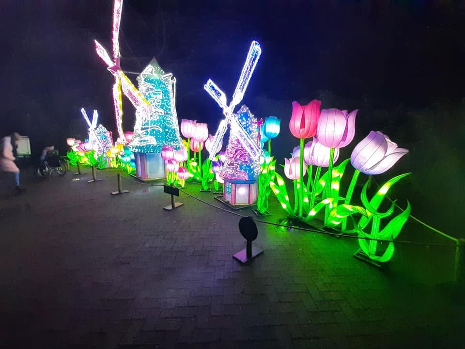 Foto uit Lichtfestival 2020