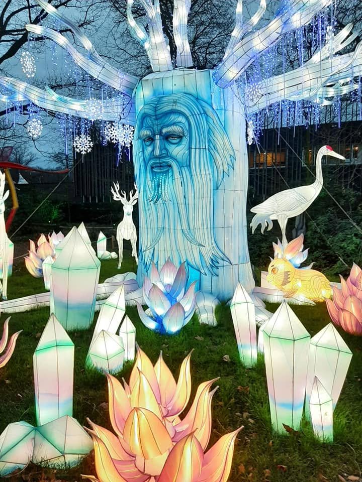 Foto uit Lichtfestival 2022