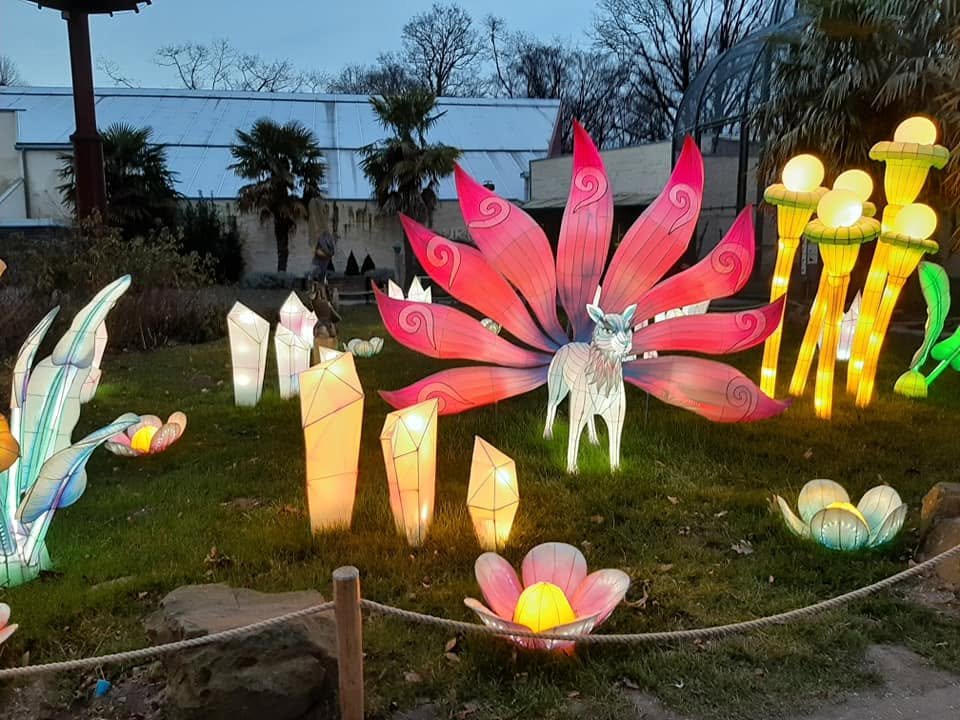 Foto uit Lichtfestival 2022