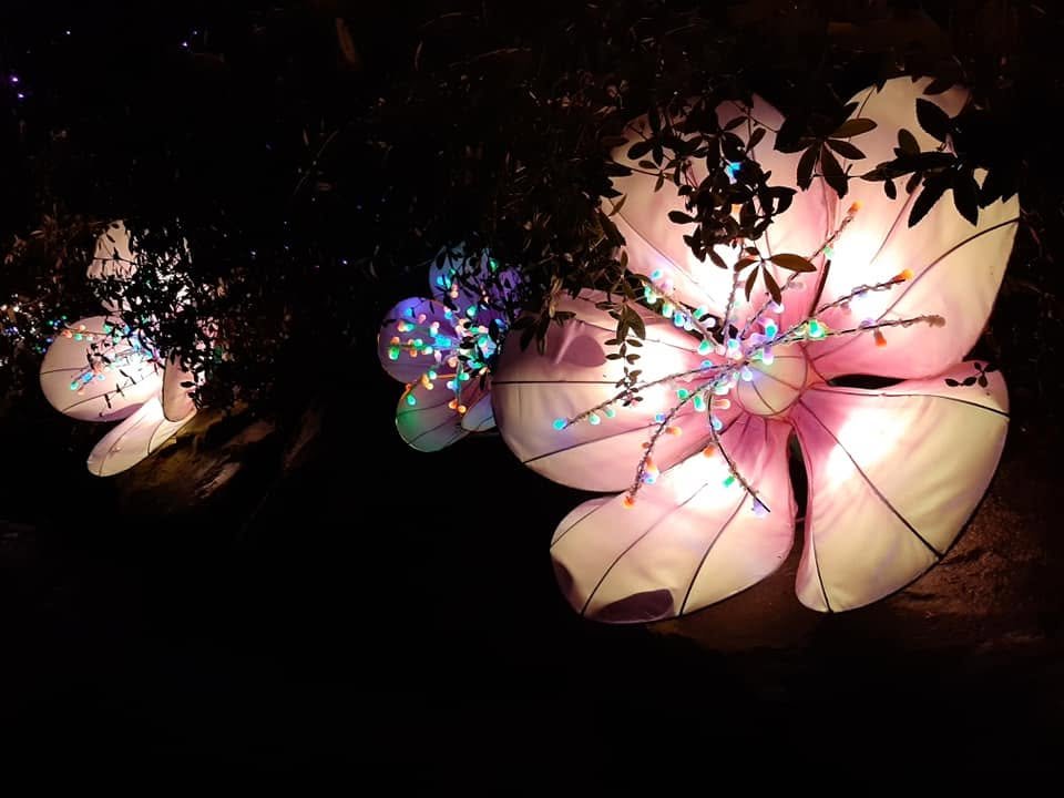 Foto uit Lichtfestival 2020