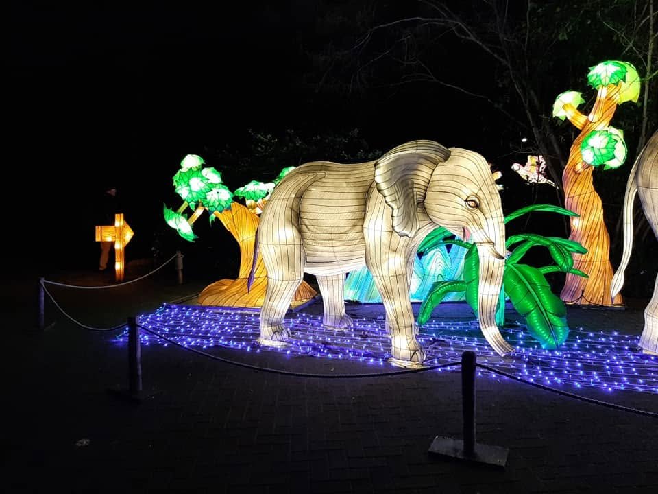 Foto uit Lichtfestival 2022