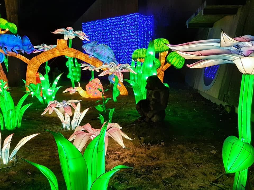 Foto uit Lichtfestival 2022