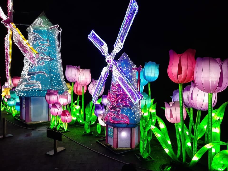 Foto uit Lichtfestival 2020