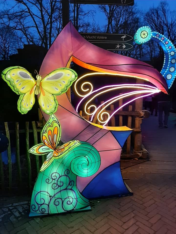 Foto uit Lichtfestival 2022