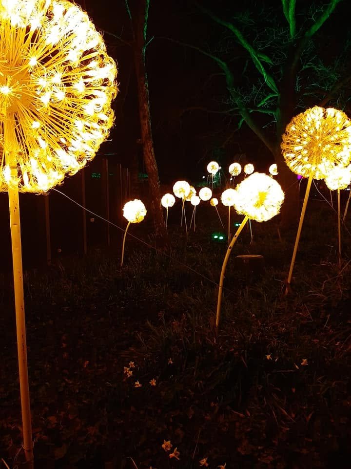 Foto uit Lichtfestival 2022