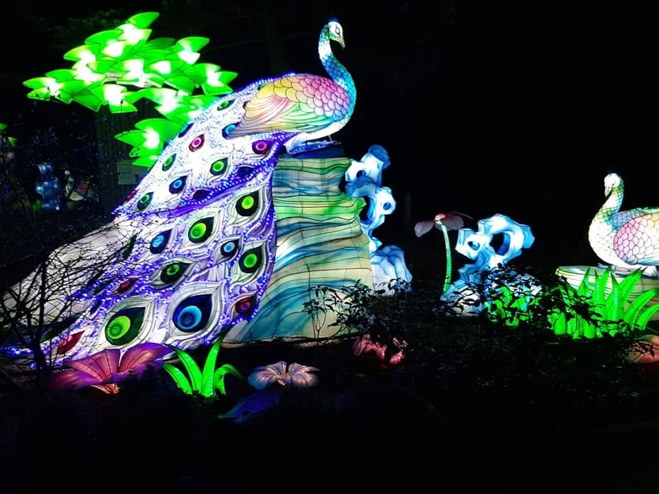 Foto uit Lichtfestival 2020