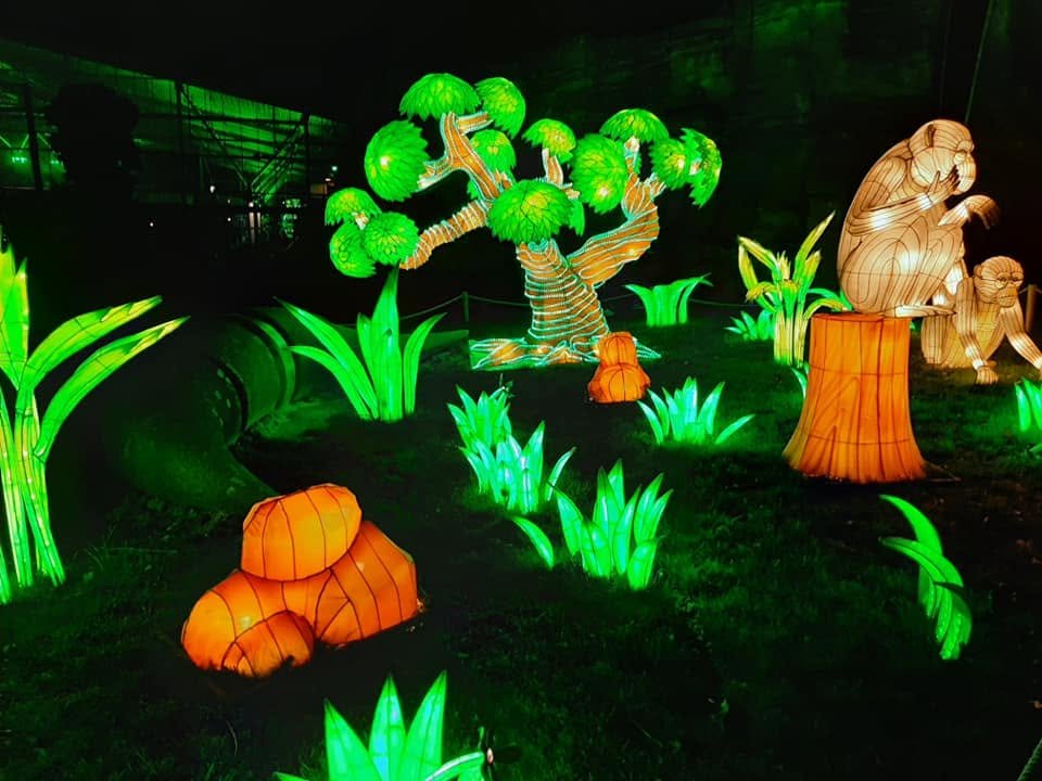 Foto uit Lichtfestival 2022
