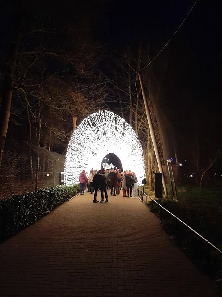 Foto uit Lichtfestival 2022