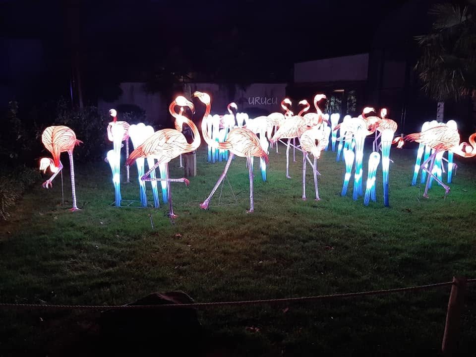 Foto uit Lichtfestival 2020