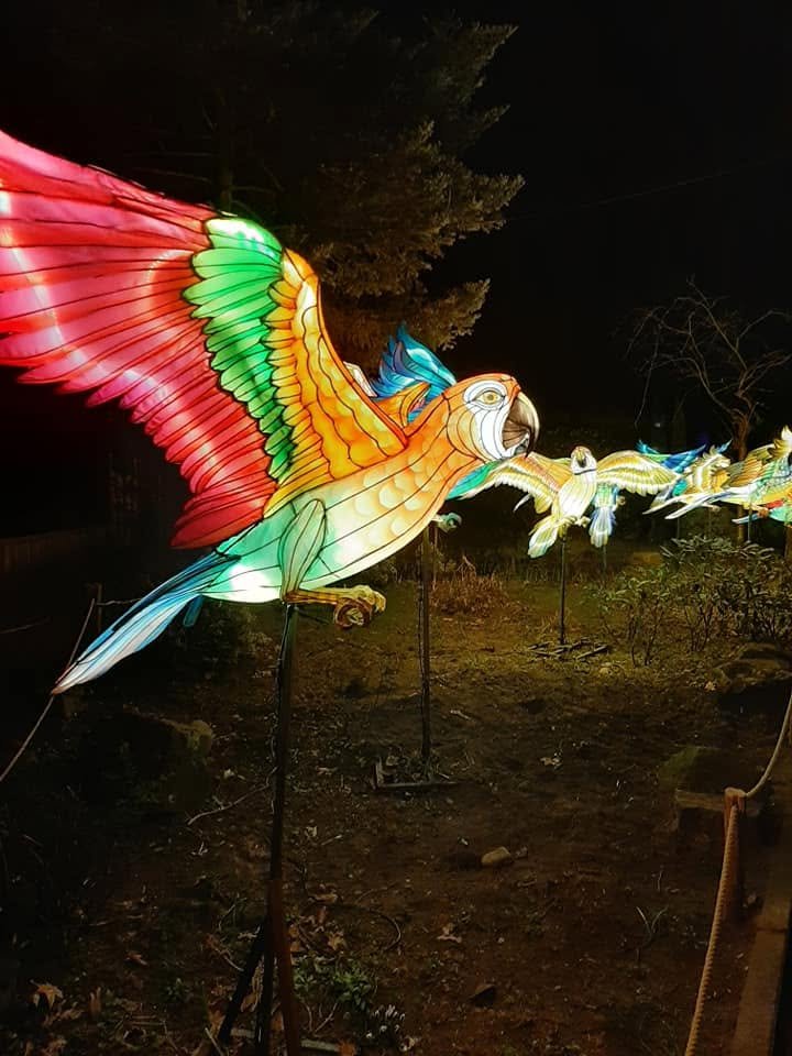 Foto uit Lichtfestival 2022