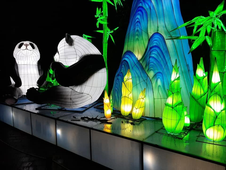 Foto uit Lichtfestival 2020