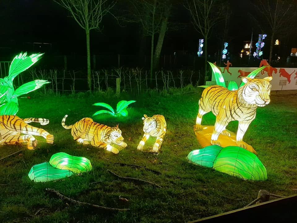 Foto uit Lichtfestival 2022