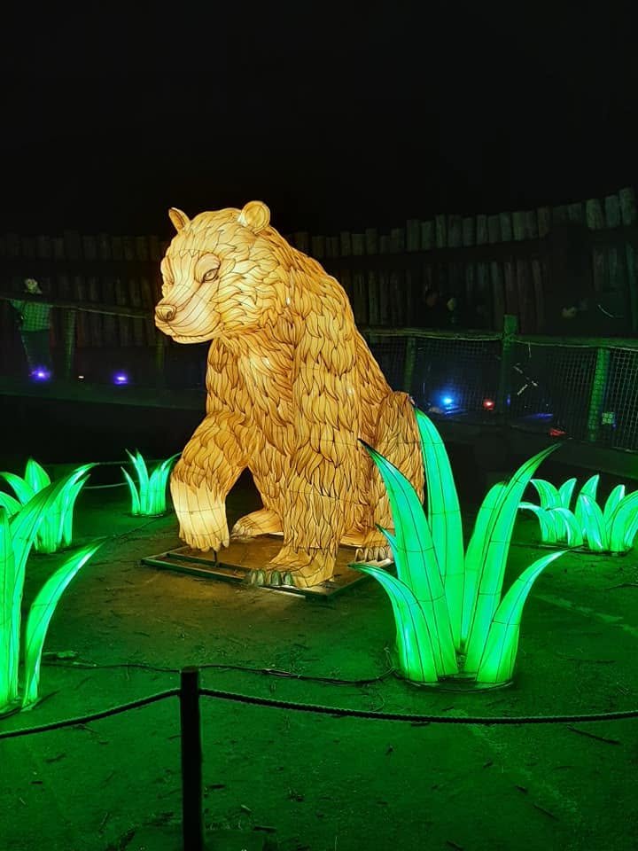 Foto uit Lichtfestival 2022