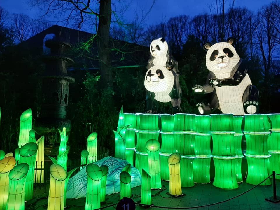Foto uit Lichtfestival 2022