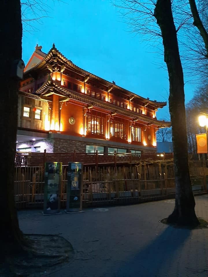 Foto uit Lichtfestival 2022
