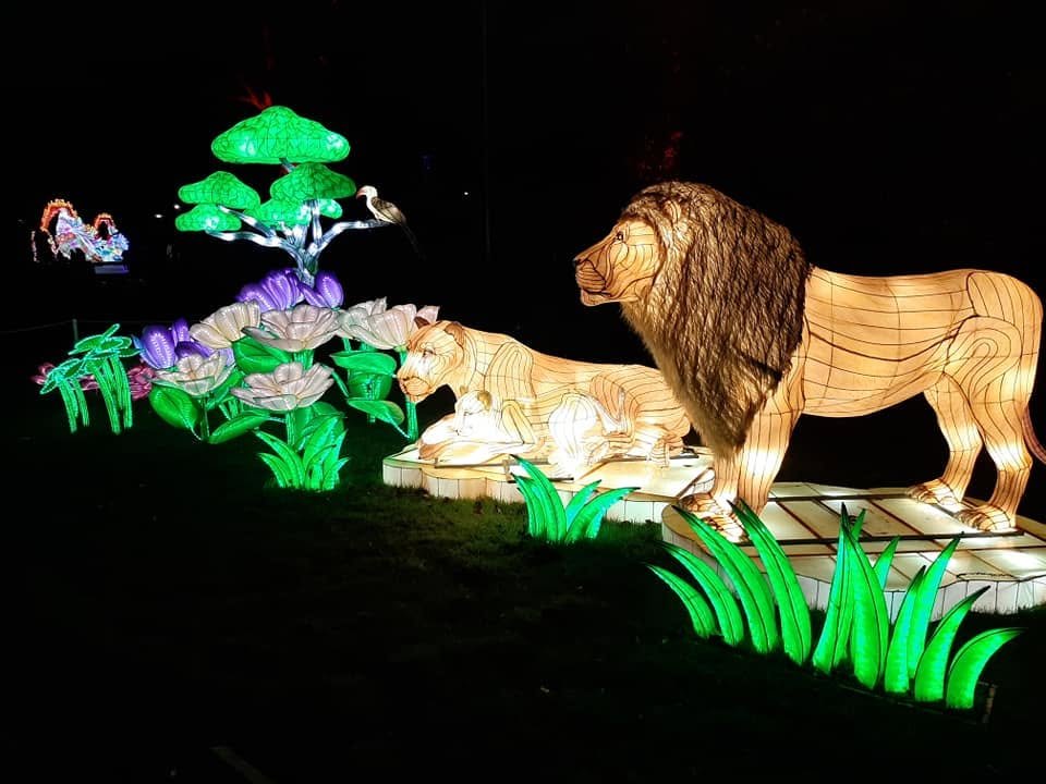 Foto uit Lichtfestival 2020