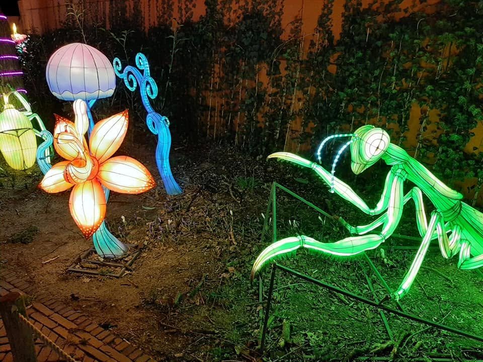 Foto uit Lichtfestival 2022