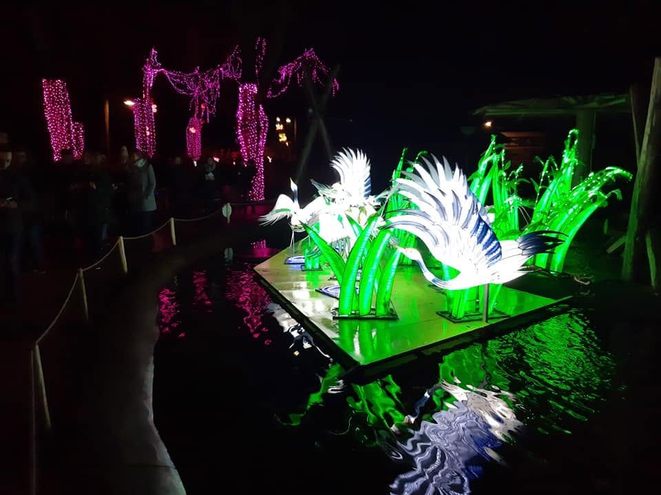 Foto uit Lichtfestival 2020