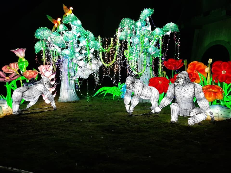 Foto uit Lichtfestival 2020