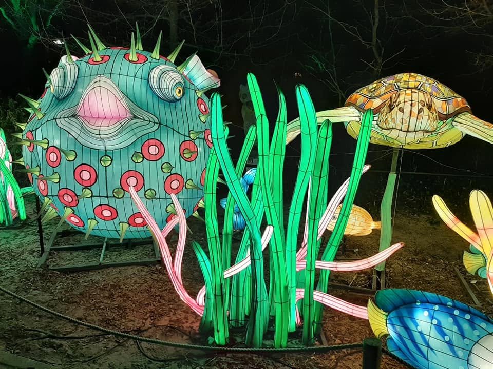 Foto uit Lichtfestival 2022